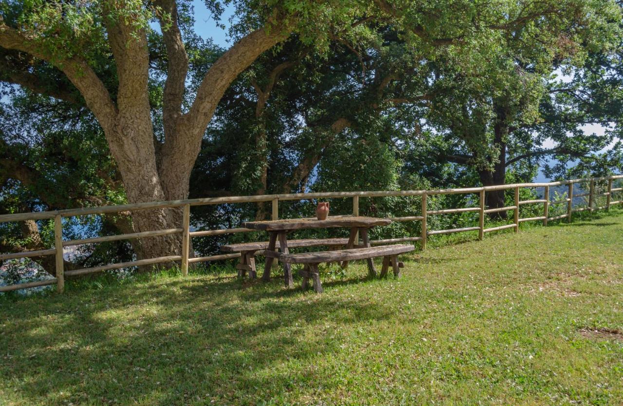 Drius Edode - B&B Affittacamere Torraca Exterior photo