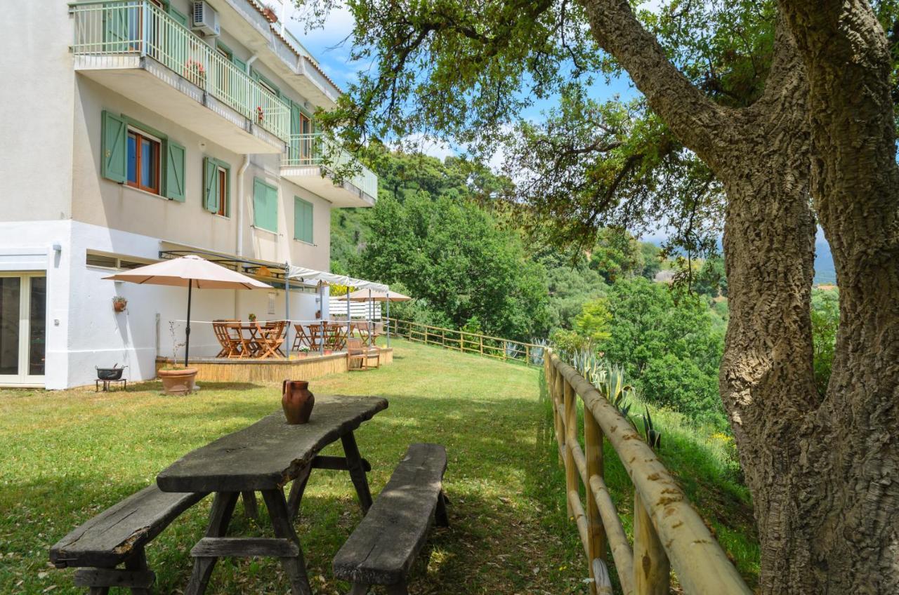 Drius Edode - B&B Affittacamere Torraca Exterior photo
