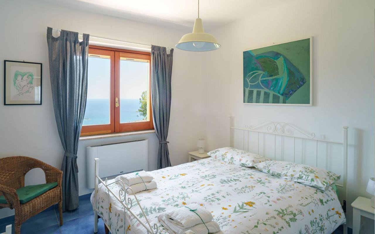 Drius Edode - B&B Affittacamere Torraca Exterior photo