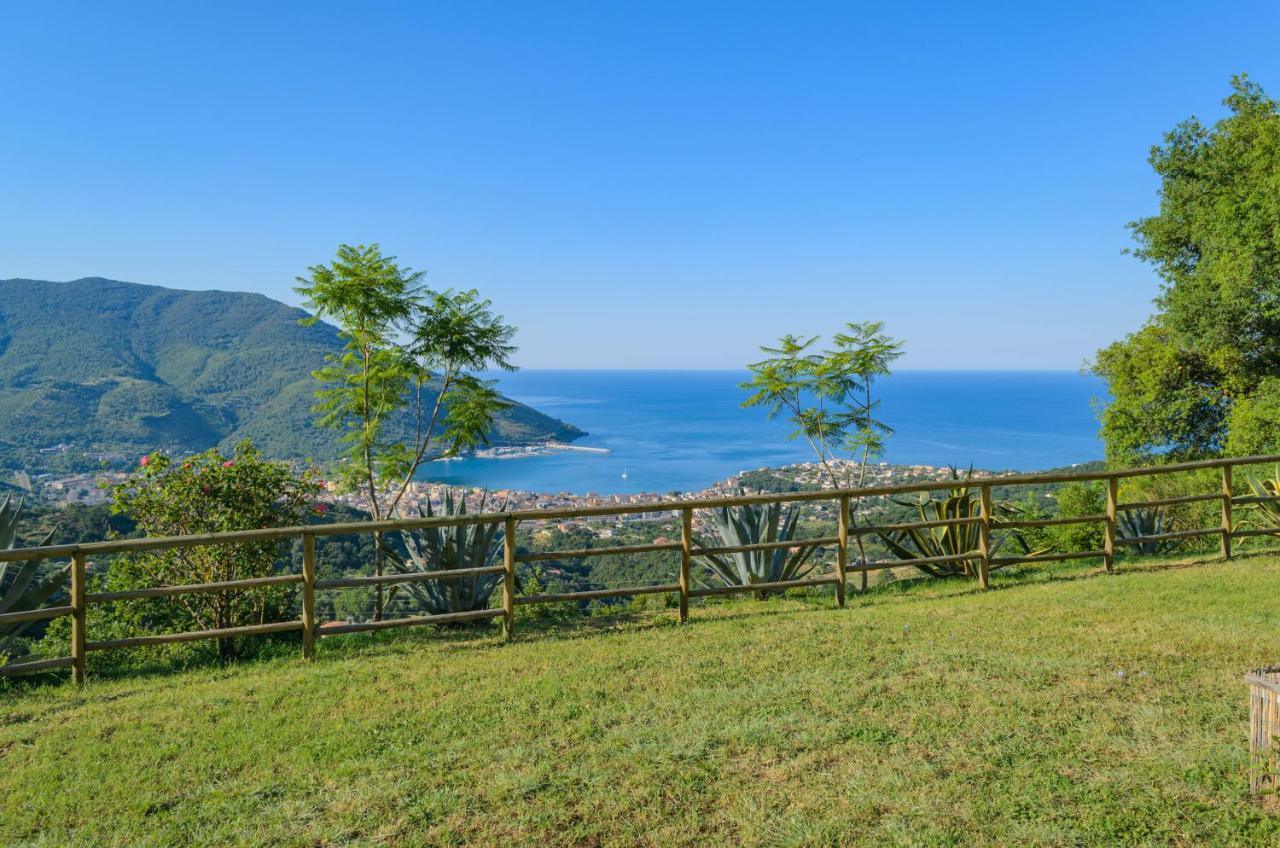 Drius Edode - B&B Affittacamere Torraca Exterior photo