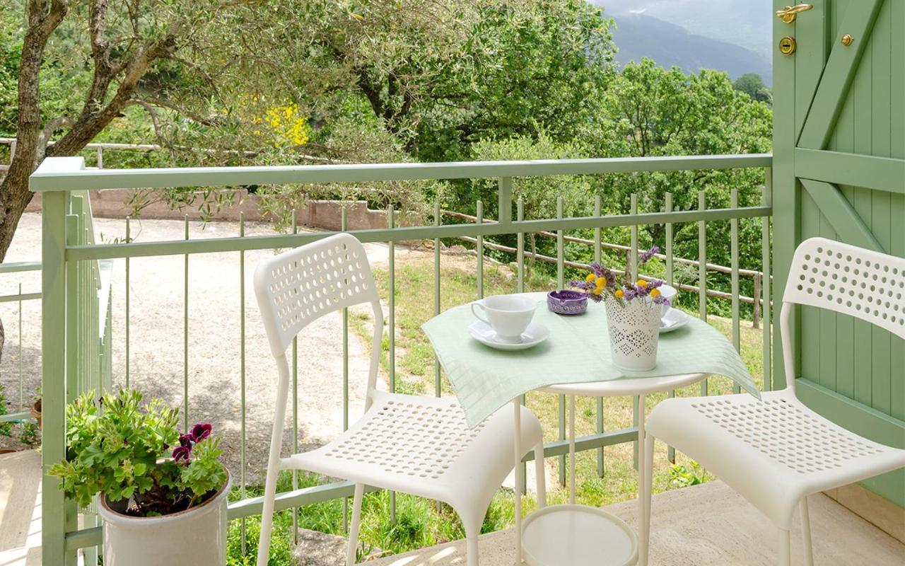 Drius Edode - B&B Affittacamere Torraca Exterior photo